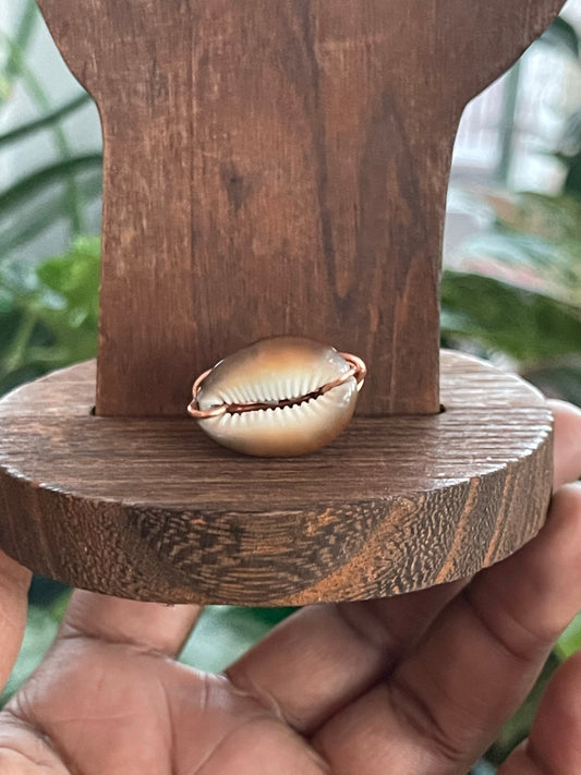 Brown Simple Cowrie Ring